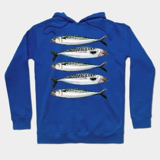 Mackerel - Watercolor fish illustration Hoodie